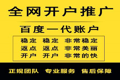 SEM广告投放案例：揭秘高转化率秘诀